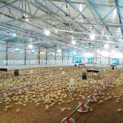 Chicken Breeder Farming Equipment for Poultry Farm