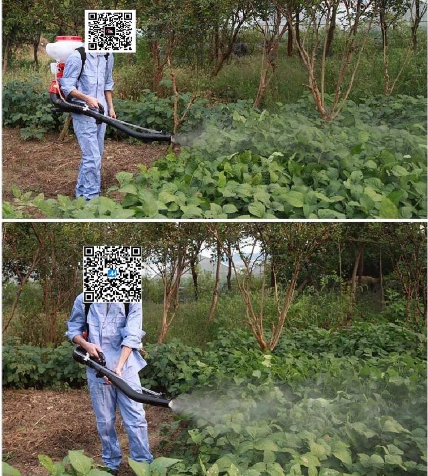 5.0HP Super Professional Agricultural/Farm/Garden Petrol Sprayer/Spraying Machine-Power Tools