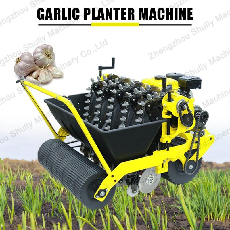 Sembradora De Ajo Garlic Growing Machine Garlic Seeding Planting China Garlic Planter