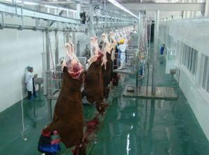 The Complete Buffalo Abattoir Line for Lifting and Conveying The Carcass of Cow