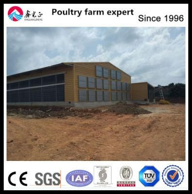 Full Set Automatic High Quality Broiler Equipment