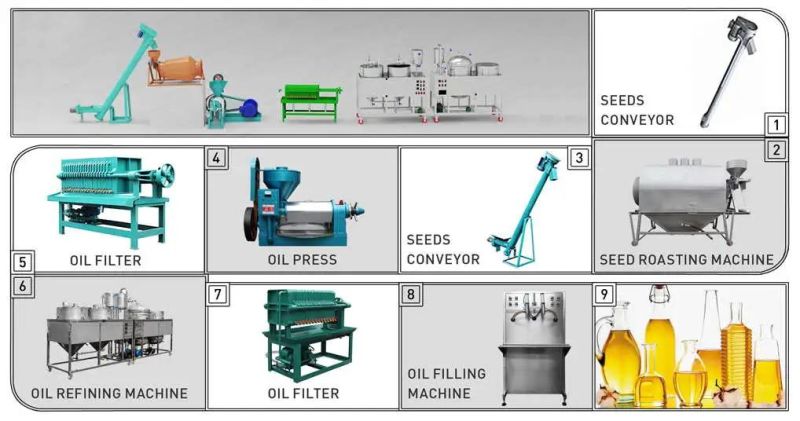 Guangxin Yzlxq10 (95) Edible Oil Extraction Machine Peanut Soybean Palm 3.5tpd