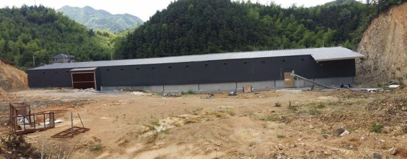 Double Henhouse for Layers