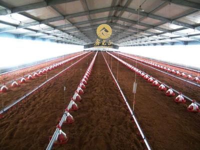 Chicken Farm Equipment Feed Silo for Broiler House