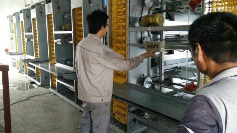 High-End Feeder of Broiler Cage System