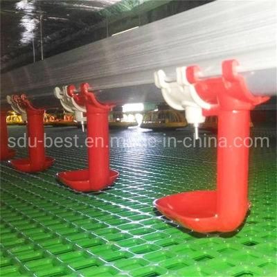 Plasson Type Poultry Farm Chicken Water for Breeding