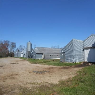 Long Span Commercial Technical Designed Chicken Coop Equipment