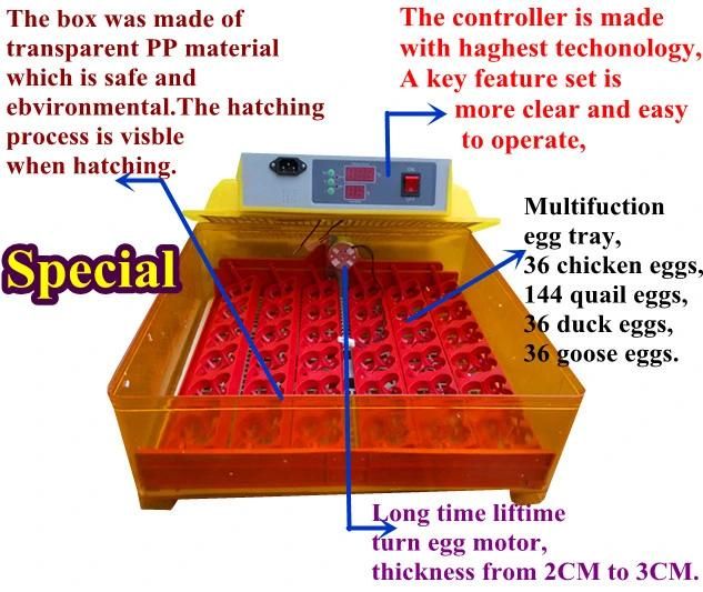 CE Approved Automatic Transparent Digital Small Egg Incubator for 36 Chickens