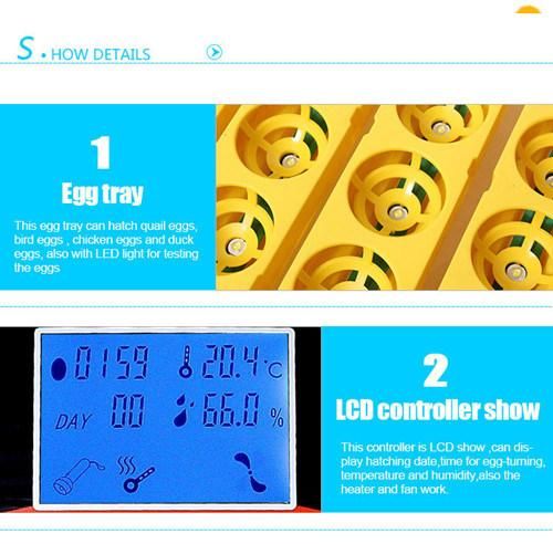 Hhd 32 Eggs Chicken Egg Incubator Hatching Machine (YZ-32S)