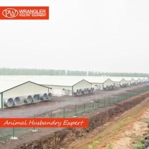 Complete Poultry Equipment Solution for Breeder/Broiler/Layer