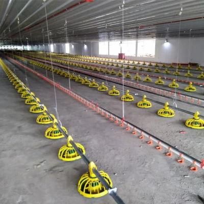 Steel Structure Tunnel Ventilation Broiler Poultry House in Philippines
