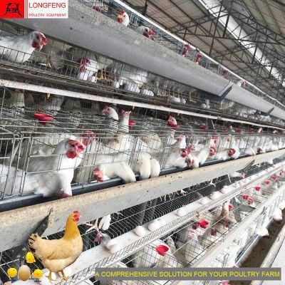 China New Longfeng Equipment a Type Chicken Layer Battery Poultry Farm Cage in