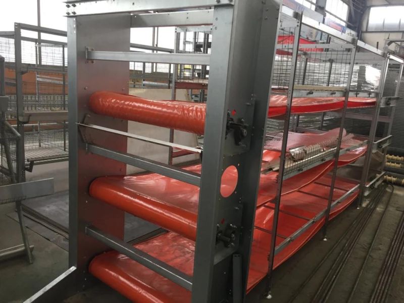 Galvanized Chicken Farm Equipment Battery Chicken Cage