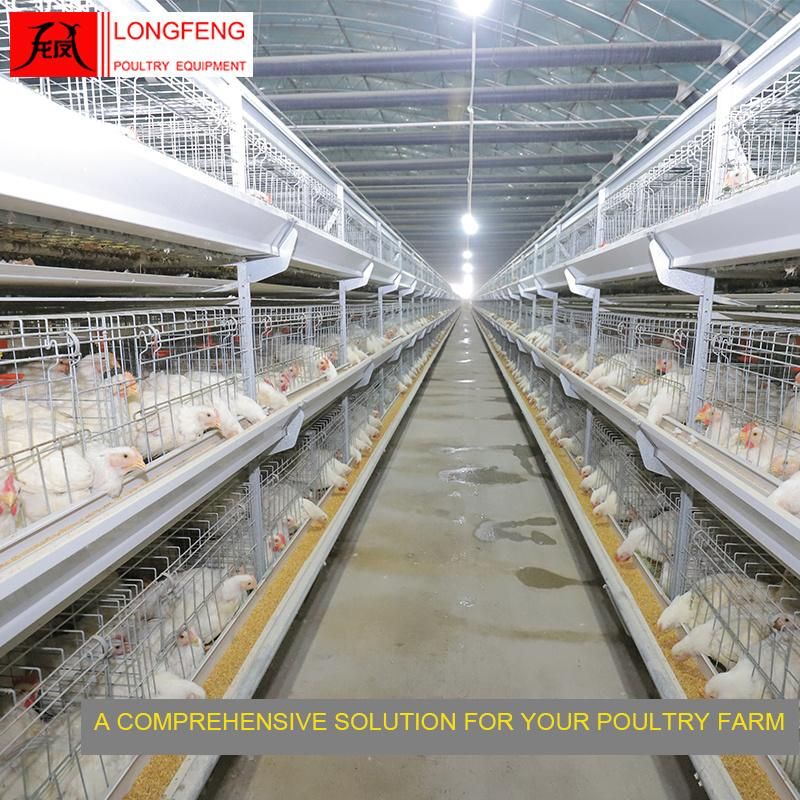 Poultry Farming Equipment High Density Longfeng Standard Packing Broiler Chicken Cage