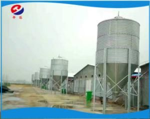 Pig Farm Feed Silo for Sale/ Assembly Hopper Bottom Steel Silo to America