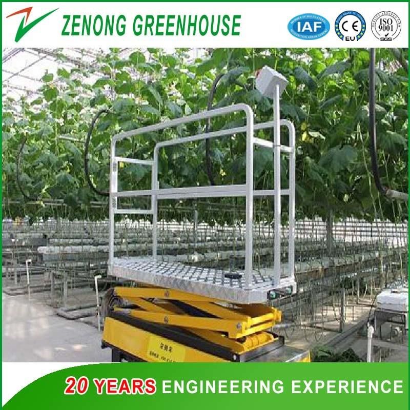 High Safety Hydraulic Elevating Work Platform for Picking up Fruits/Vegetables