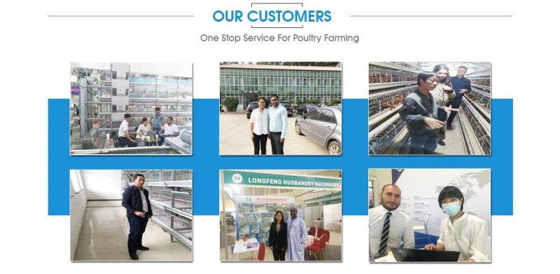 Local After-Sale Service in Asia Chicken Layer Battery Poultry Farm Cage