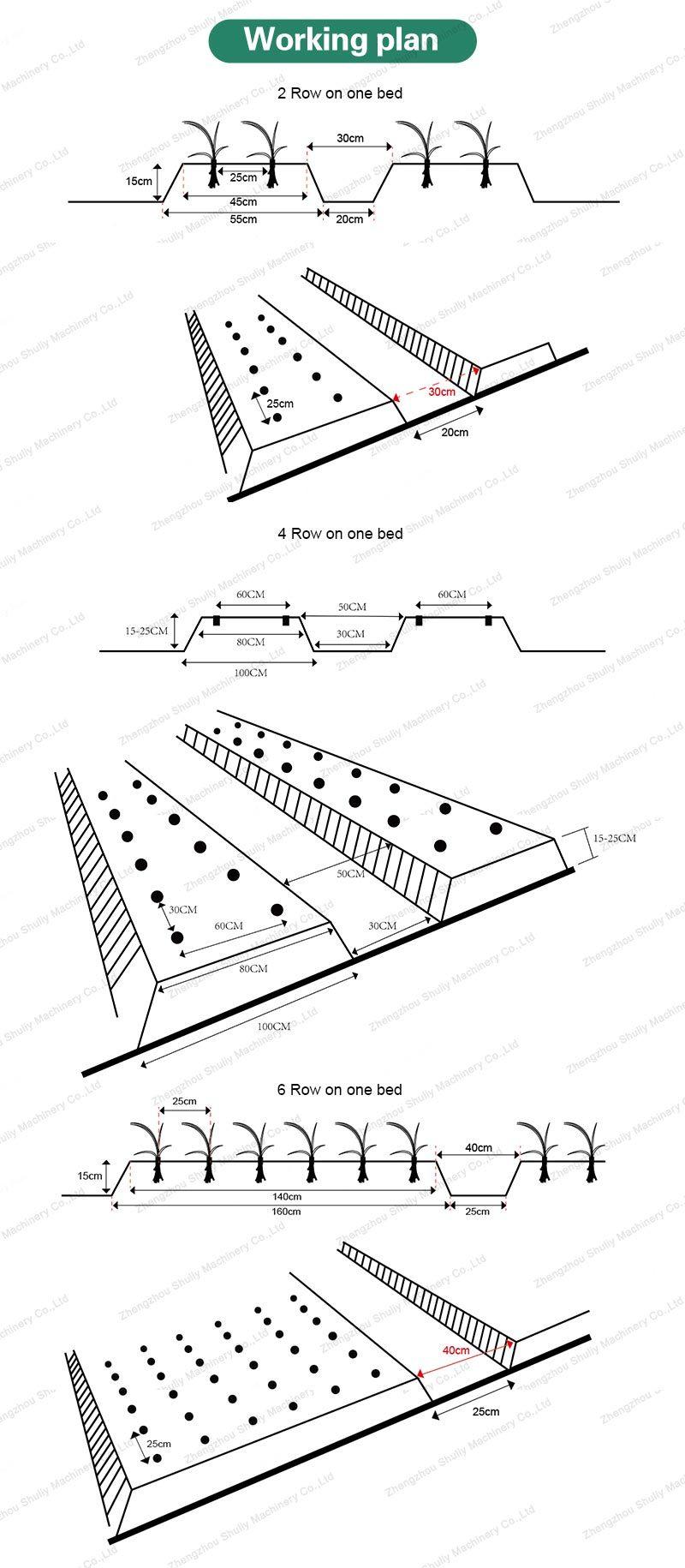 Agricultural Machinery Vegetable Seedling Transplanter Cabbage Garlic Planting Machine