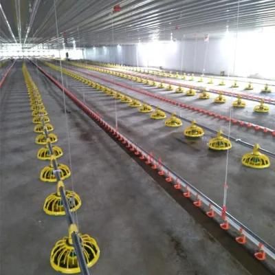 Chicken Farm Equipment Floor Feeding Chicken Feeder