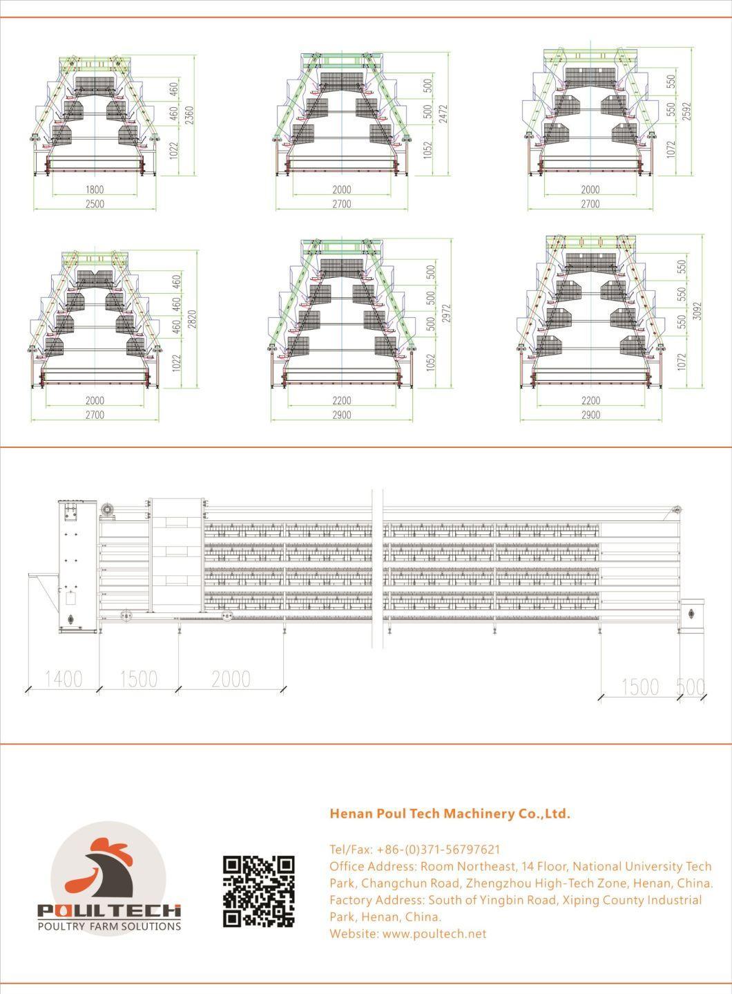 a Type Layer Cage Raising Equipment for 40000 Birds Layer Project