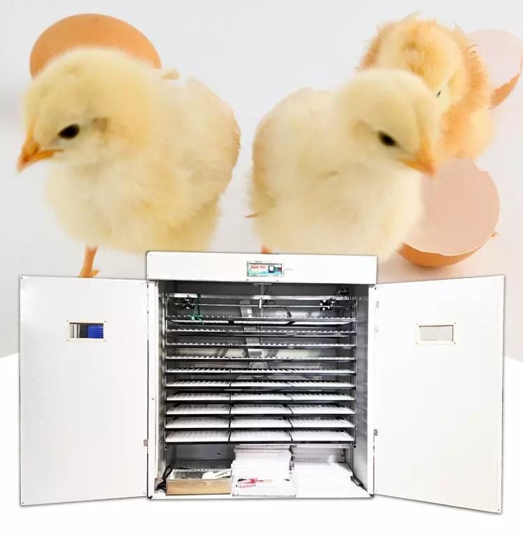 Manufacturer Direct Supply Egg Incubator and Chicken and Poultry Egg Hatching Machine