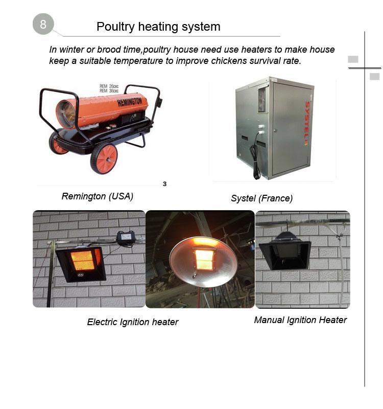 High Quality Automatic Poultry Equipment for Broiler Chicken House