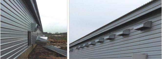 Q235 & Q345 for Steel Structer Chicken House