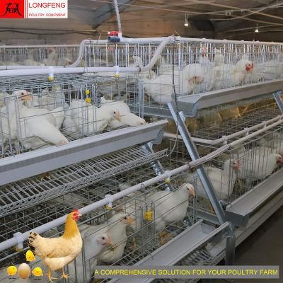 Longfeng 15-20years 430cm2 or 450cm2 Stable Running Poultry Equipment with Factory Price