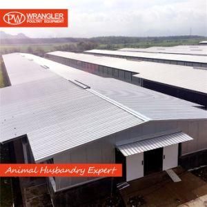 Complete Poultry Equipment Breeder Farm Equipment