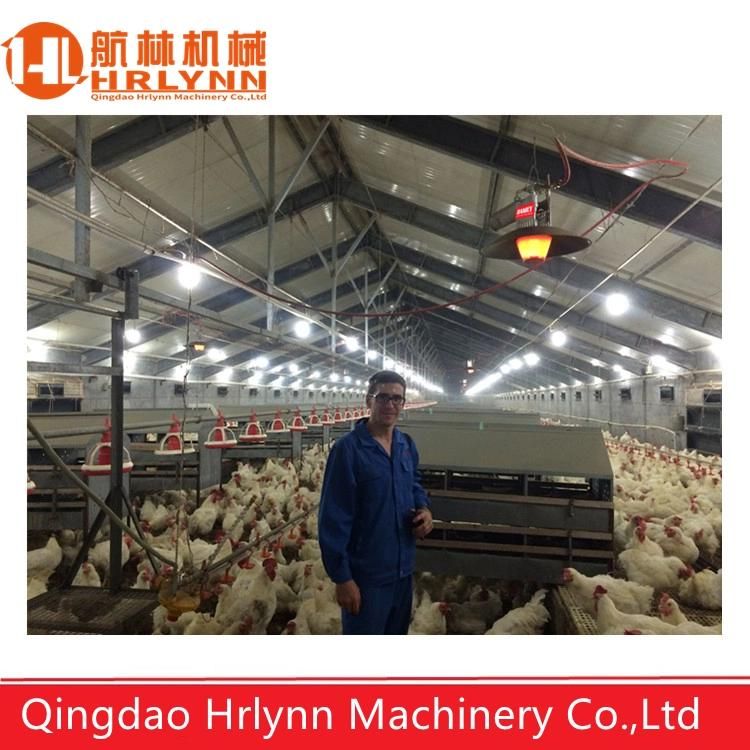 Automatic Poultry Farm Equipment Broiler Feeding System Chicken Feeders
