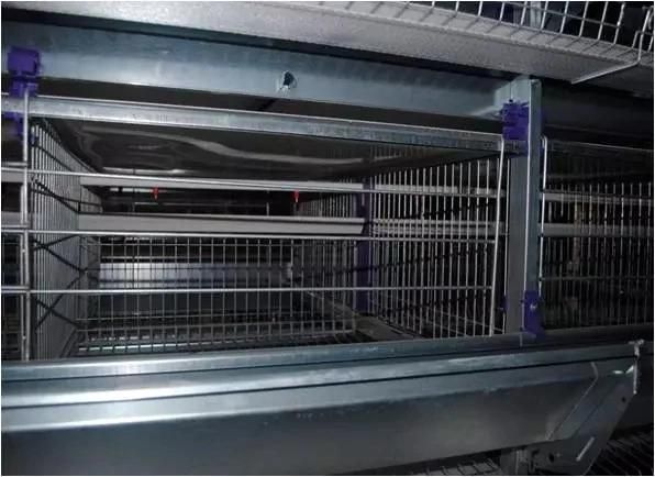 Xgz Group's Livestock Farming Houses for Pigs