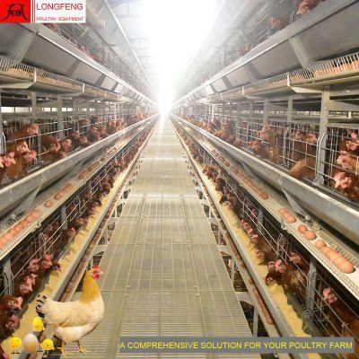 China 1 Year Warranty Longfeng Chicken Layer Farm Cages Equipment Poultry Cage Factory