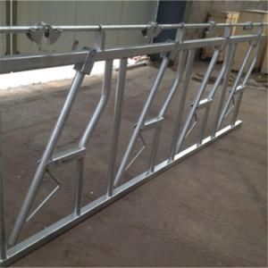 Cattle Cow Headlock and Cow Free Stall for Dairy Cow Farm Equipment