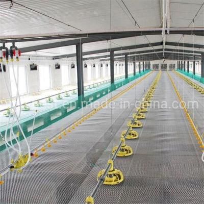 Automatic Poultry Feeding Equipments Chicken Breeding Drinking System