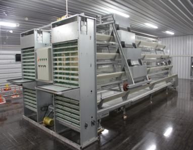 Poultry Farm Equipment Chicken Cages