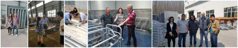 Pig Equipment Sow Limitation Stall for Livestock Galvanized Gestation Stall