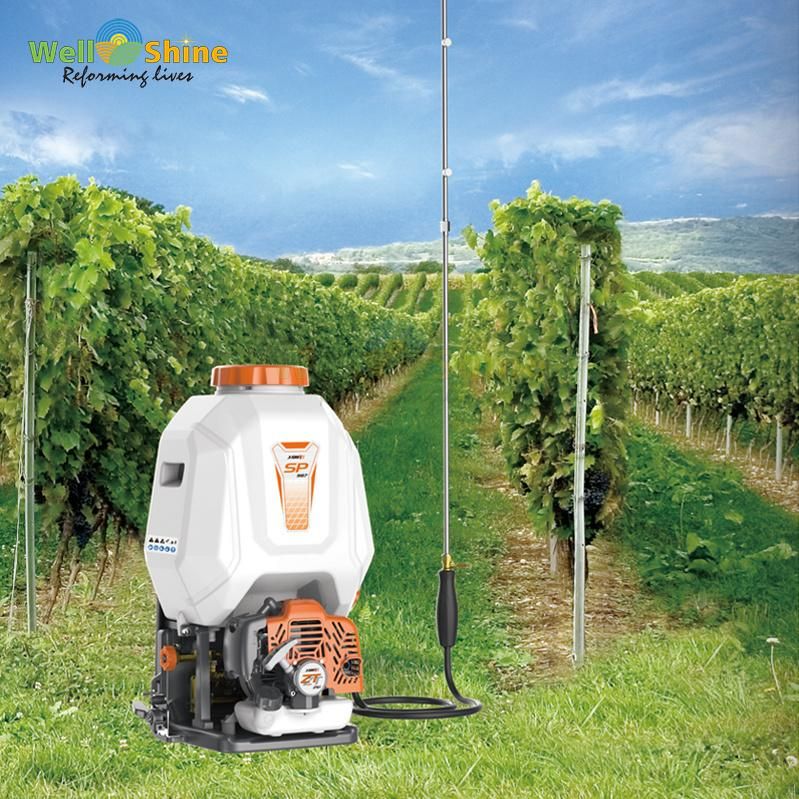 15L/25L Knapsack Agricultural Petrol Sprayer with CE GS EU5