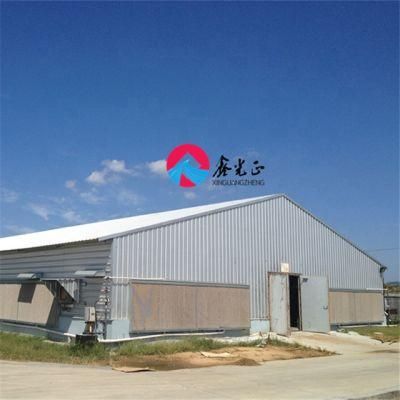 Low-Cost and High-Yield Automatic Steel Structure Poultry Farming Equipment