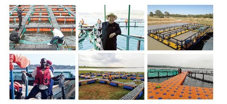 Fish Floating Cages for Growing Fish in Rivers Aquaculture