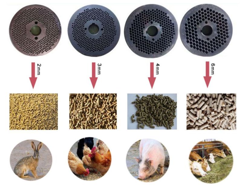 Animal Feed Fish Feed Extruder Equipment Food Processing Machinery Feed Pellet Machine