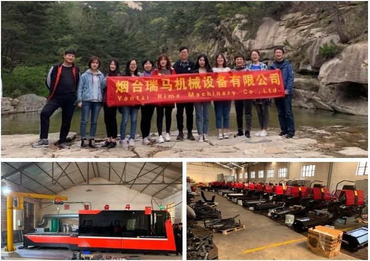 Ce Approved Log Splitter Petrol Wood Splitter