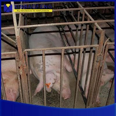 Factory Price Pig Farrowing Crates Pig Farming Equipment Farrowing Stalls