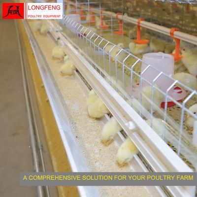 High Density Farm Equipment Broiler Chicken Cage with Top Wire Mesh