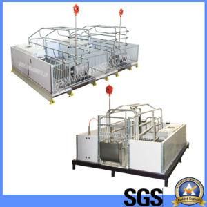HDG Customized Poultry Pig Hog Sow Gestation Crates with PVC Fence