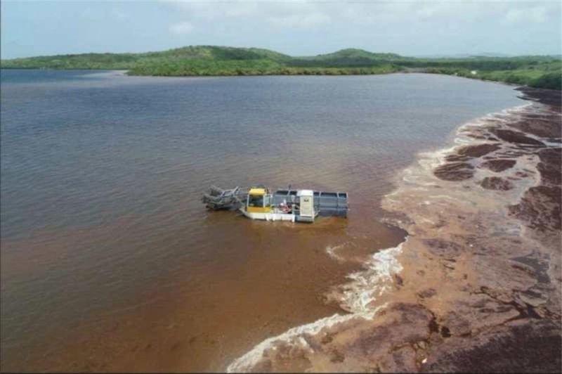 Aquatic Weed Harvester/Reed Harvester/Sargassum Cutting Machine