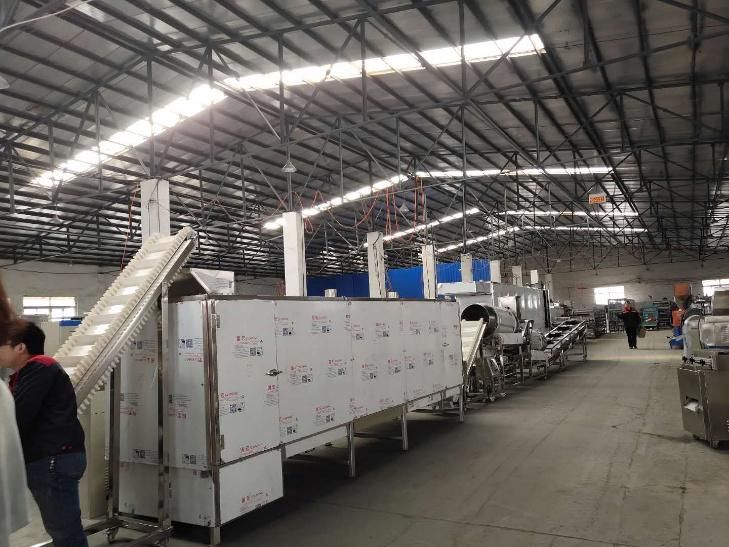 Dog Food and Fish Feed Production Line Manufacturer