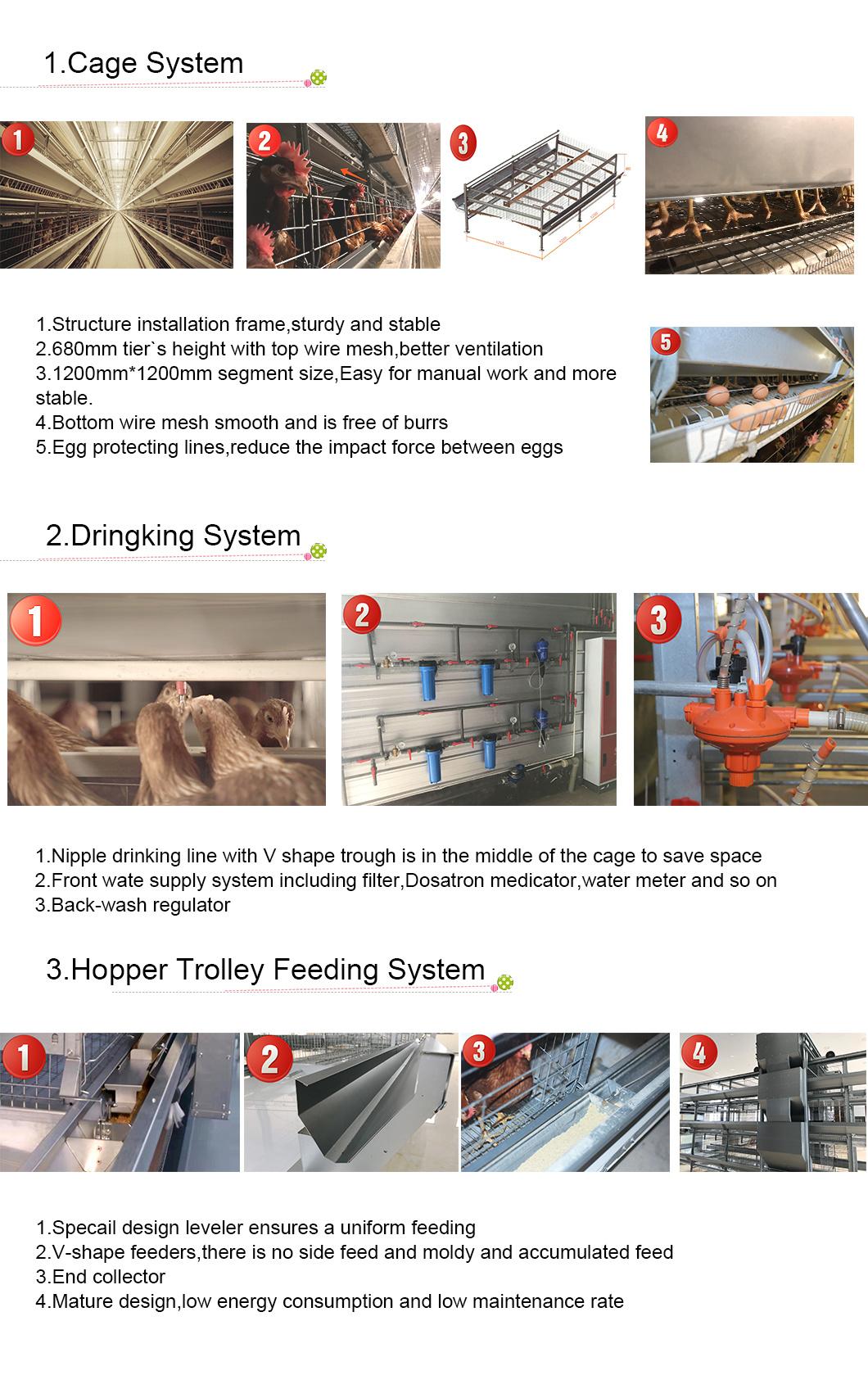 H Type of Automatic Layer Chicken Cage System for Poultry Farming Equipment