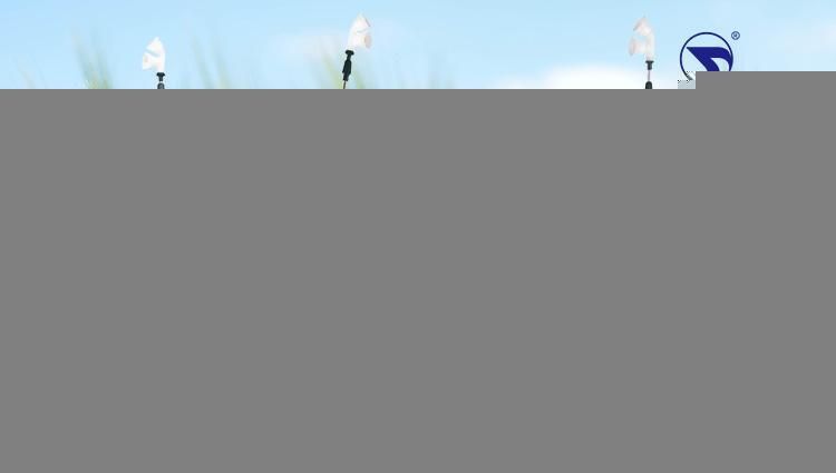 Comfortable Simple Installation ISO9001 High Efficacy Backpack Solar and Batter Sprayer
