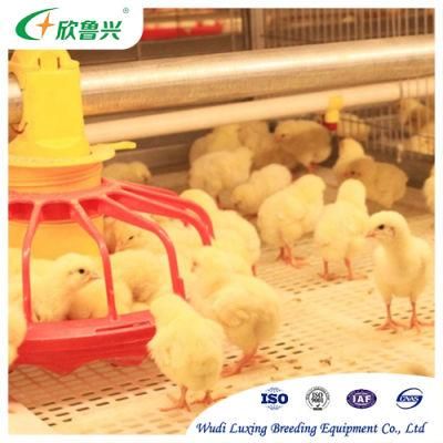 Cheap Price Poultry Cages Complete Automatic Battery System Cage for Raising The Young Chicken