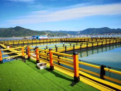 Aquaculture Fish Farming Floating Square Abalone Leisure Fishing Cage